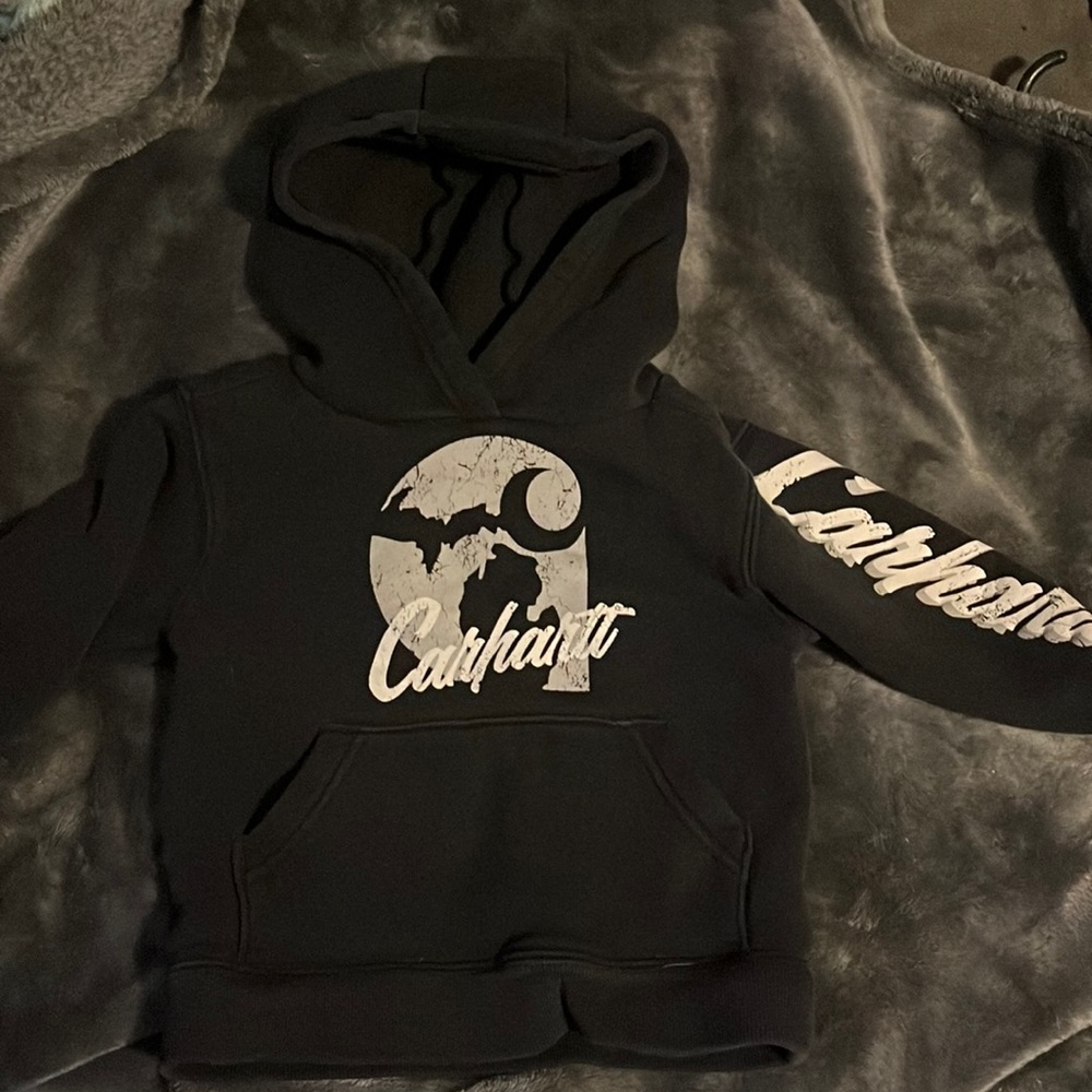 Toddler carhart hoodie. Used in good condition.
